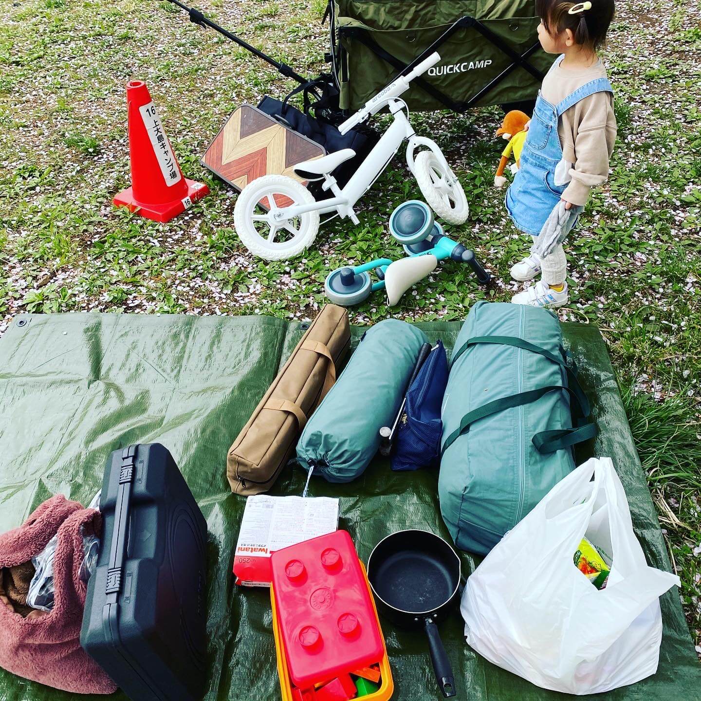 【2歳の娘と二人でデイキャンプ】15個の注意ポイント Hamu CAMP⛺ blog