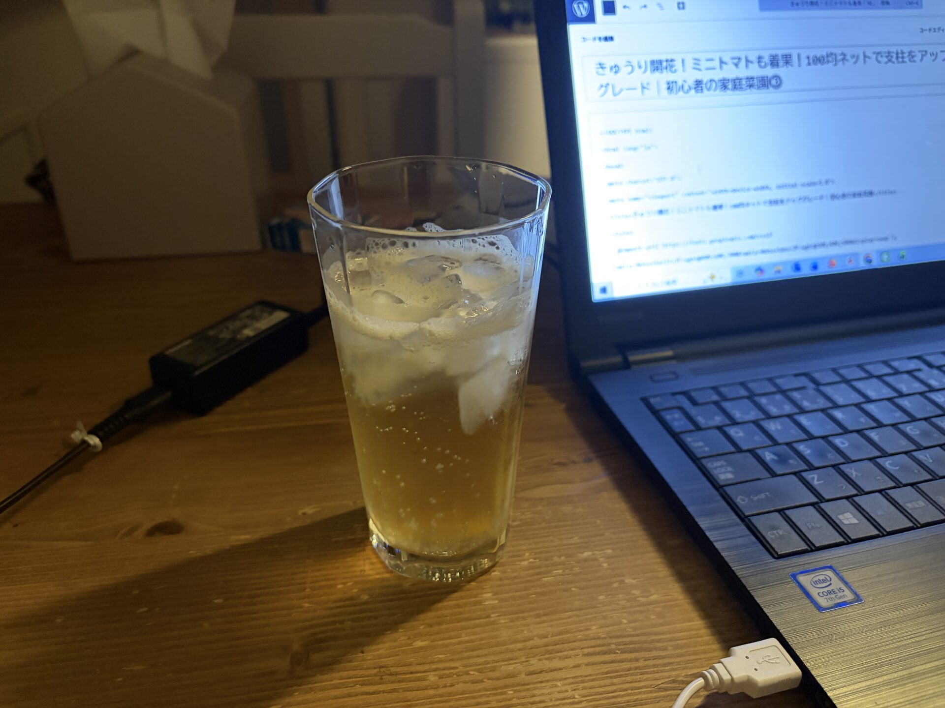 梅酒を飲みながらブログを書いている様子
