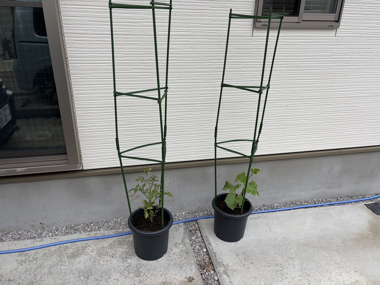 支柱を設置した全体の様子